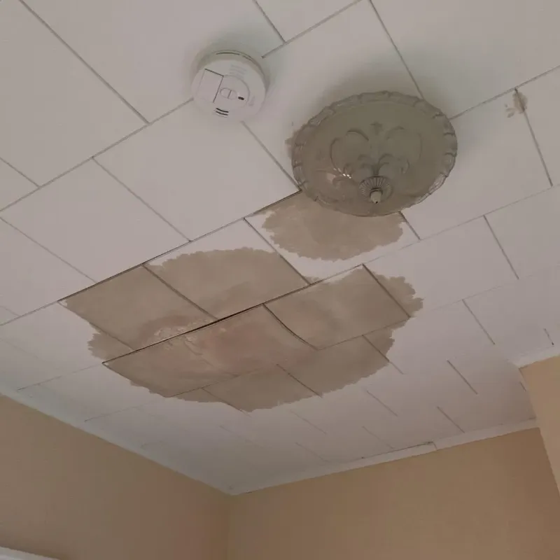 Ceiling Water Damage Repair in Conneaut, OH